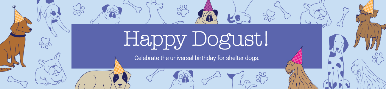 Happy Dogust! Celebrate the universal birthday for shelter dogs.
